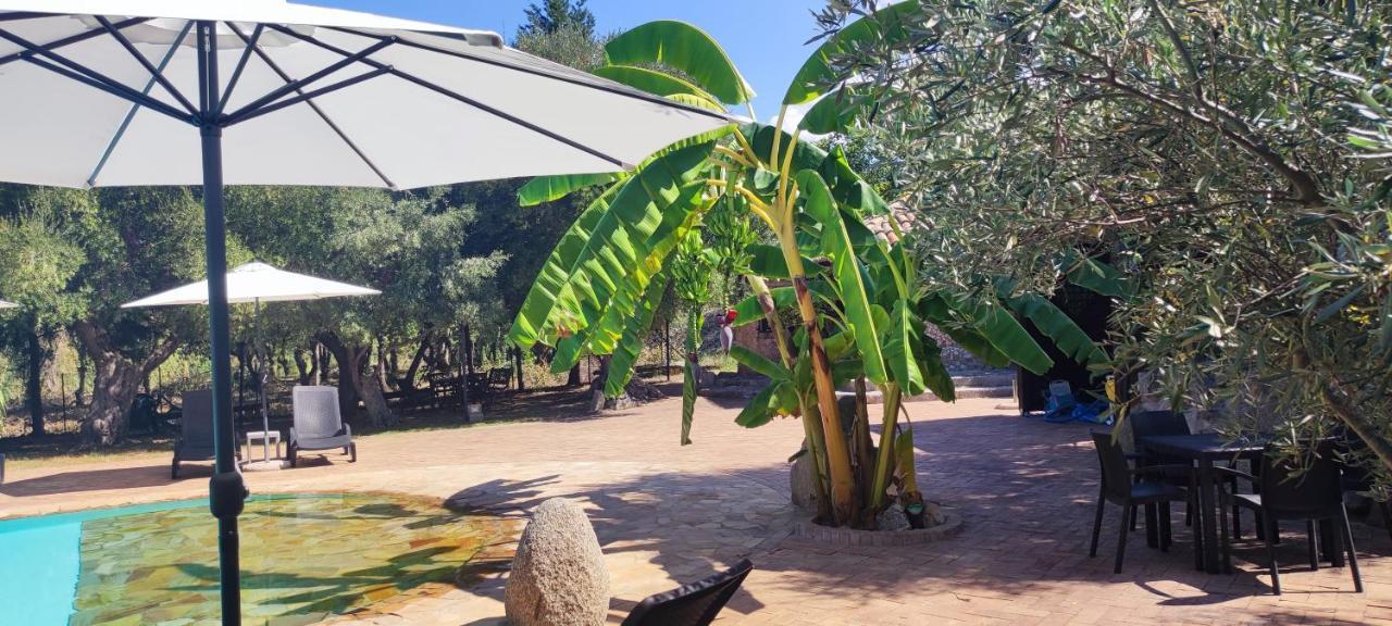 Residenza La Vigna Aparthotel Parghelia Eksteriør bilde